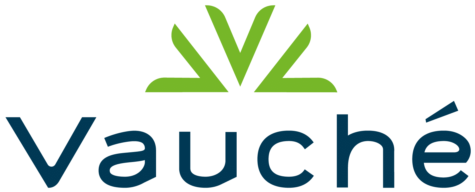 LOGO_VAUCHE_2017_COULEUR | Technic industry Vauché Mulhouse